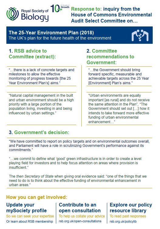 Policy Case Study Environment Plan